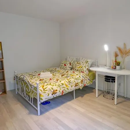 Apartamento Cozy Studio@champs Elysee